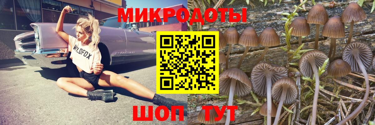 Псилоцибиновые грибы мицелий  Псилоцибиновые грибы Psilocybe  Вход с VPN  Уварово 